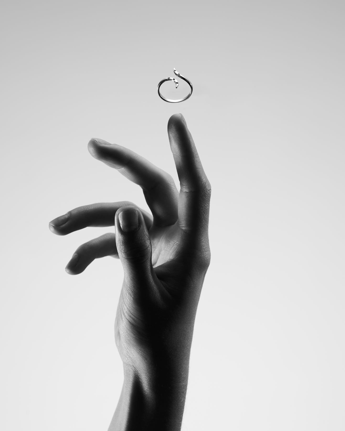 Freedom Ring